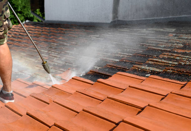 Best Power Washing Near Me  in Ellicott City, MD