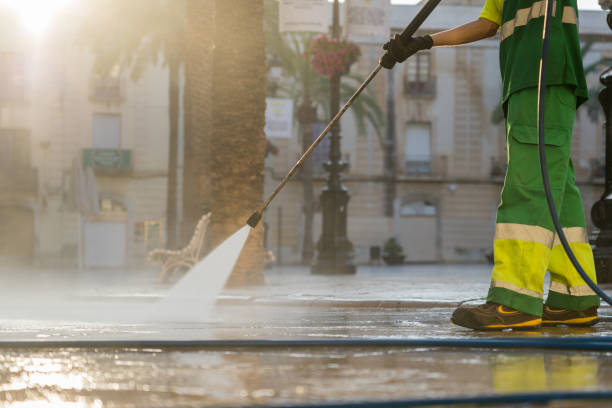 Best Roof Pressure Washing  in Ellicott City, MD